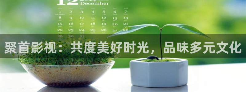 沉浸式轨道影院：聚首影视：共度美好时光，品味多元文化