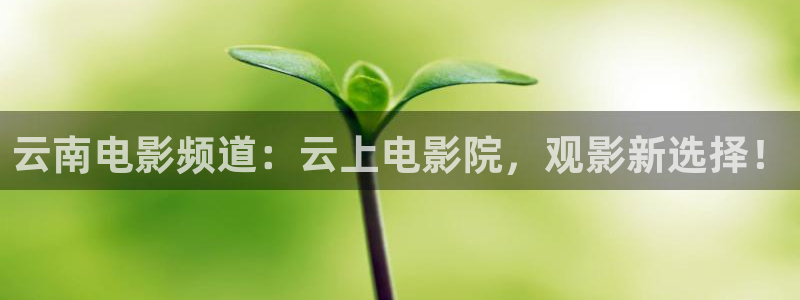 轨道影院妈妈：云南电影频道：云上电影院，观影新选择！