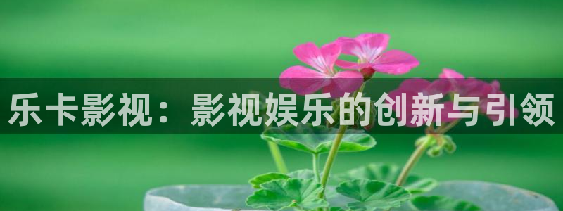 巅峰文化轨道影院：乐卡影视：影视娱乐的创新与引领