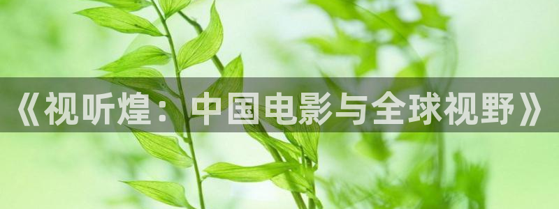 裸眼3d轨道轨道影院：《视听煌：中国电影与全球视野》