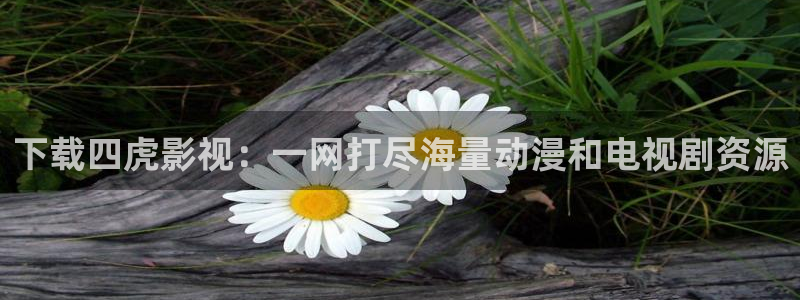 轨道影视：下载四虎影视：一网打尽海量动漫和电视剧资源