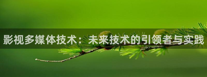 轨道 影院：影视多媒体技术：未来技术的引领者与实践