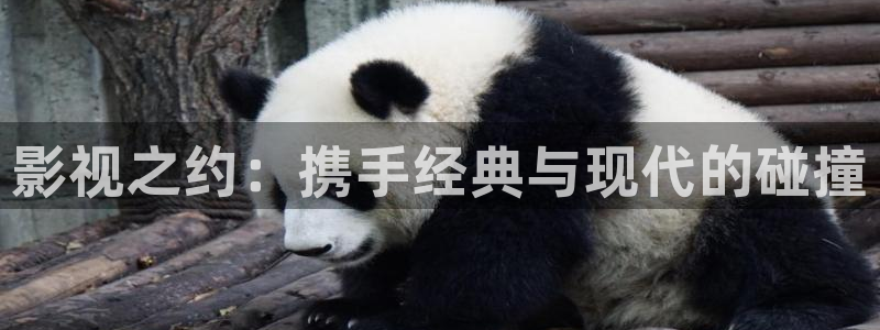轨道影院厂：影视之约：携手经典与现代的碰撞
